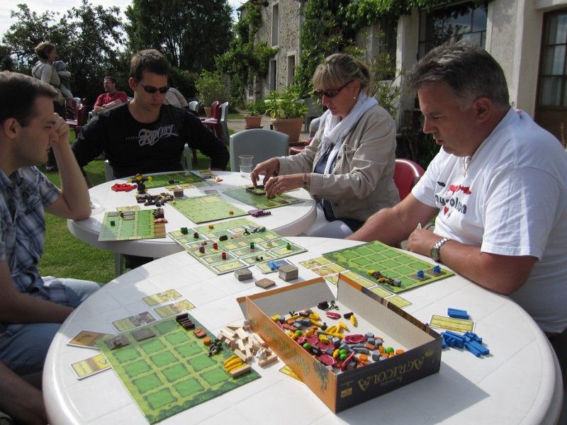 une partie d#39;Agricola Agricola The Goodies. une partie d#39;Agricola