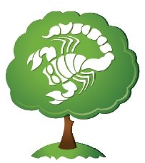 Des jeux de société plus verts