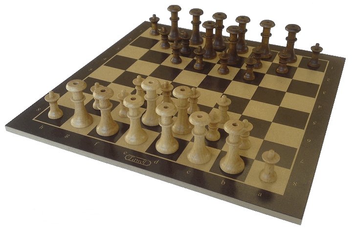 Vous aimez lui damer le pion ?