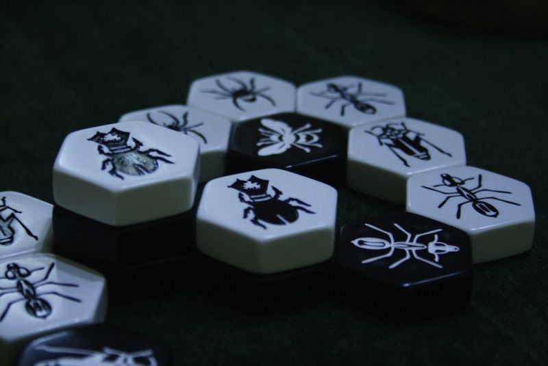 <a href="http://www.jedisjeux.net/hive-carbon">Hive carbon</a>