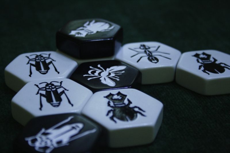 <a href="http://www.jedisjeux.net/hive-carbon">Hive carbon</a>