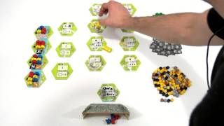 Focus On Board de Keyflower