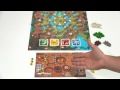 FocusOnBoard de Myrmes