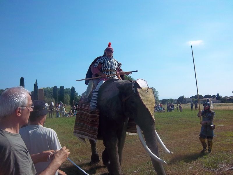 Et voici donc l'éléphant carthaginois qui inquiète tant les romains