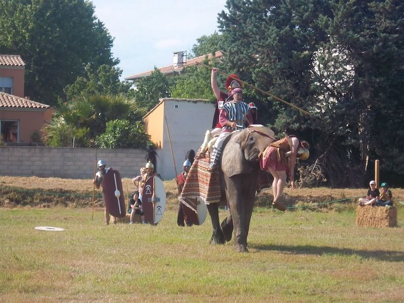 Ah ben justement, notre éléphant carthaginois vient de trouver un romain histoire de faire mumuse un peu...