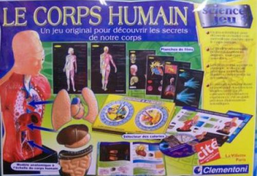 Le corps humain