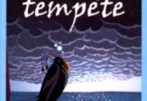 Avis de Tempête