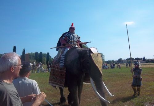 Et voici donc l'éléphant carthaginois qui inquiète tant les romains