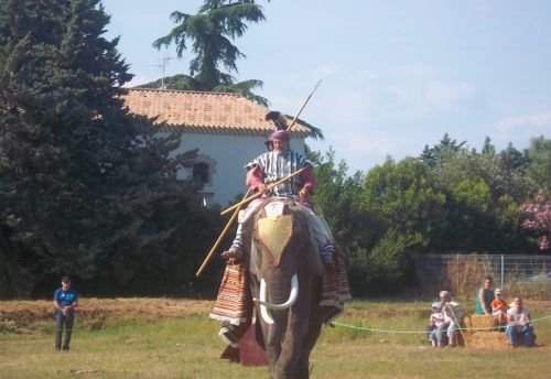 L'éléphant veut aussi fracasser du romain.