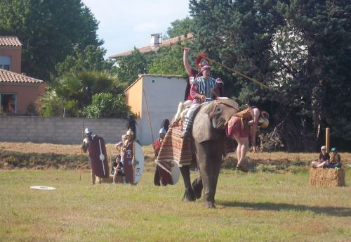 Ah ben justement, notre éléphant carthaginois vient de trouver un romain histoire de faire mumuse un peu...