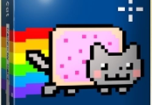 Nyan cat : Rainbow Race