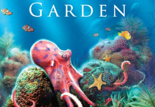 Octopus garden