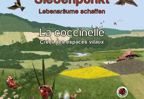 Siebenpunkt / La coccinelle