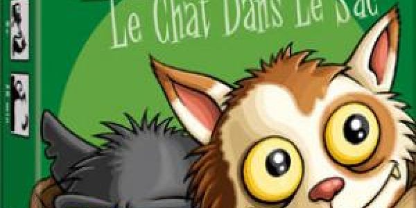 Filou : le chat dans le sac