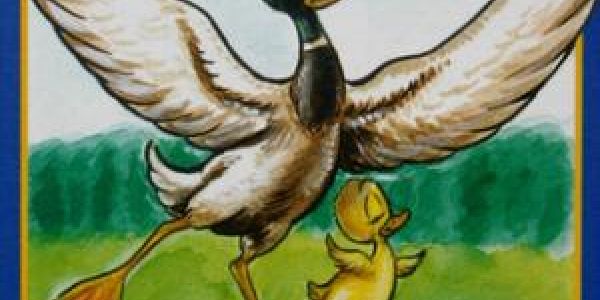 Pas de Duck