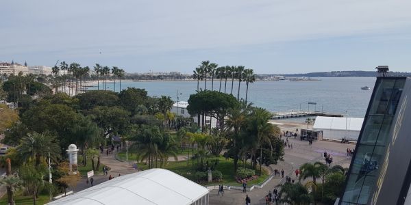 FIJ Cannes 2020 : jour 2 vendredi 21 février