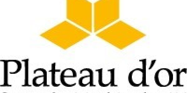 Concours de création de jeux : Plateau d'or 2015