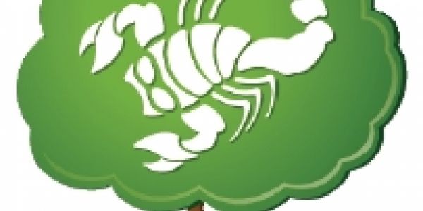 Des jeux de société plus verts