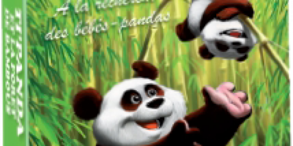 Des pandas de partout