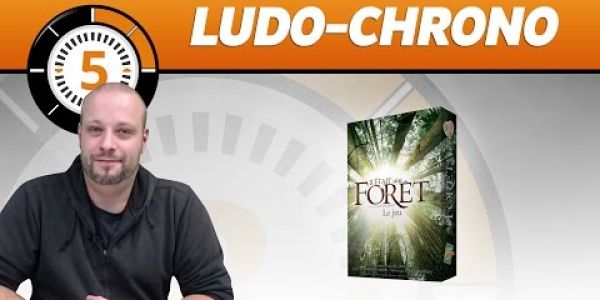 Le Ludochrono de Il était une forêt