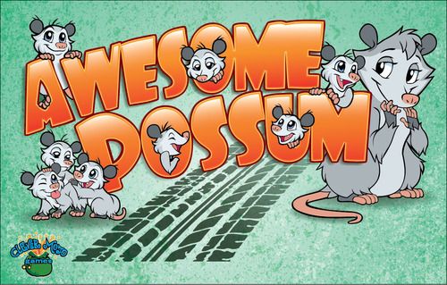 Awesome Possum