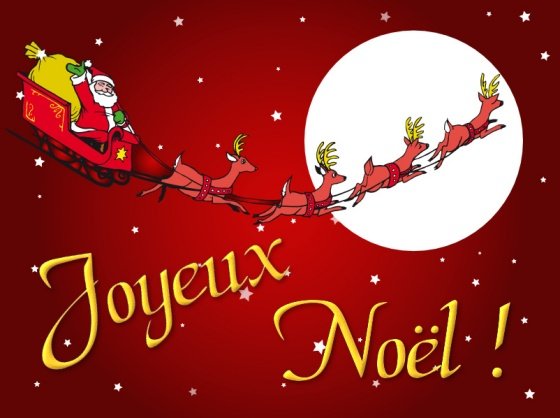 Ils nous souhaitent un joyeux Noël 2010 !