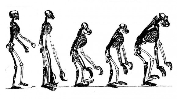 Evolution monumentale...