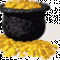 loic_425